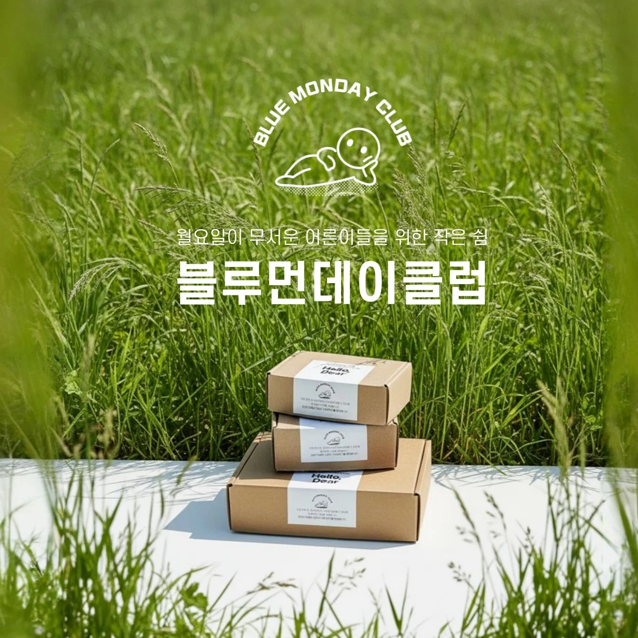 포트폴리오 메인이미지