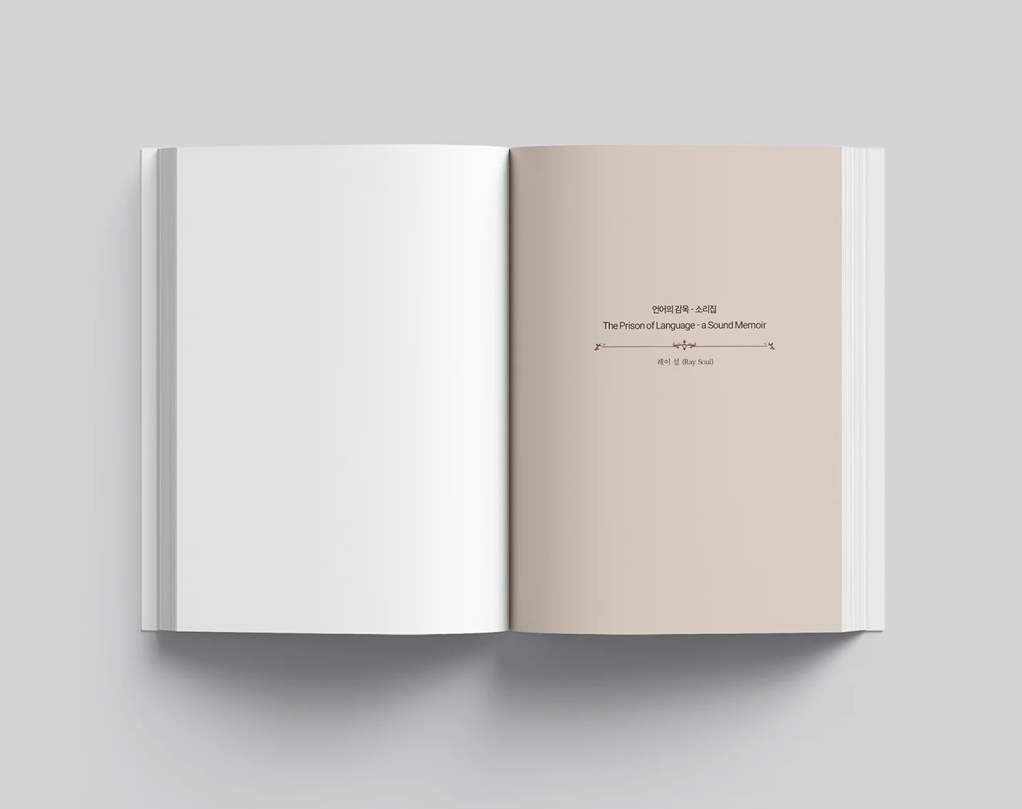 디자인 포트폴리오