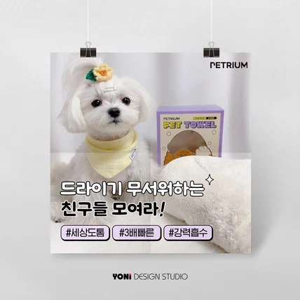 포트폴리오-애견용품 인스타그램 광고소재 디자인