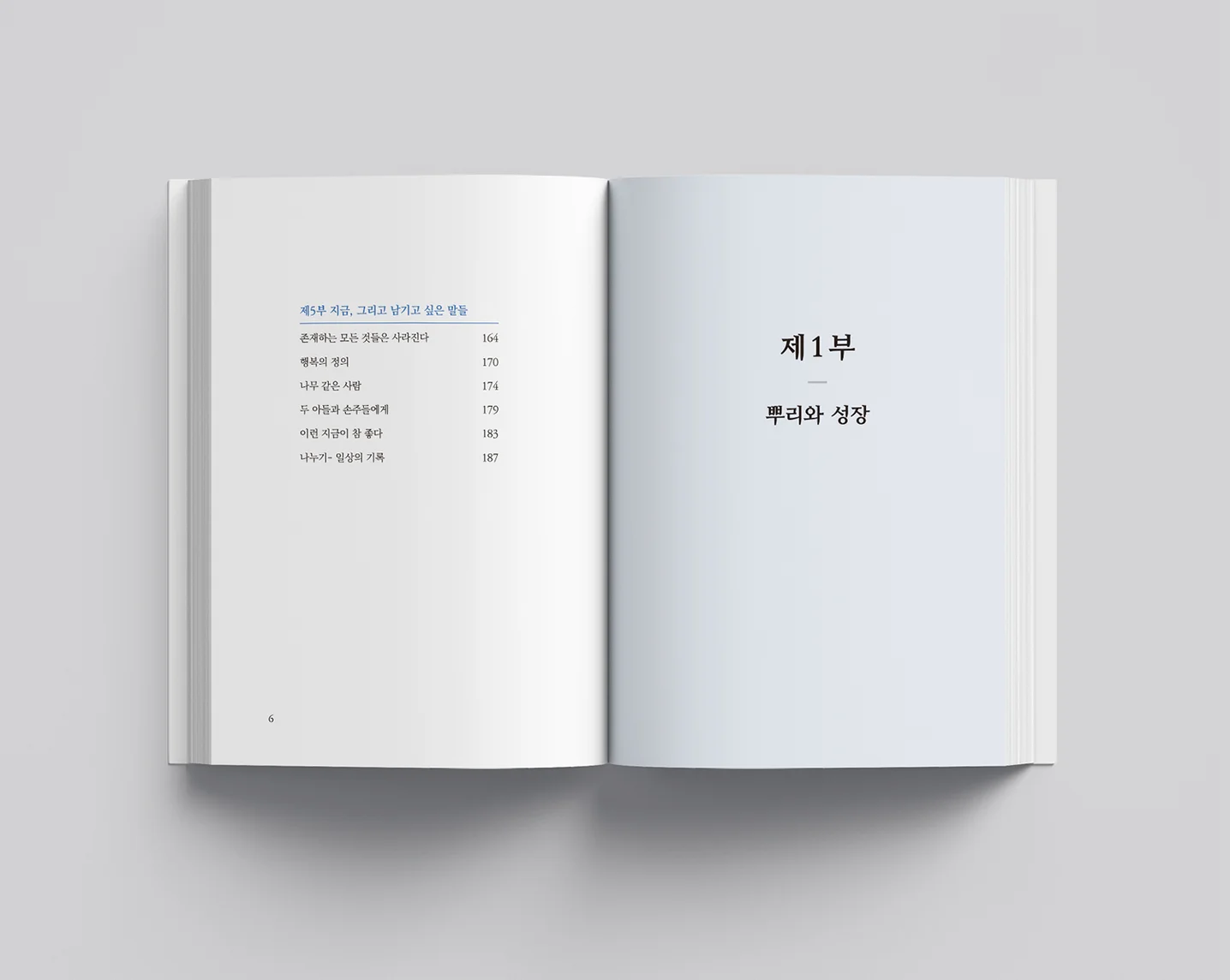 디자인 포트폴리오
