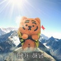 Haz*****_썸네일