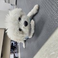 KNd*****_썸네일