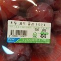 후기다수자두타로 프로필
