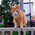 반*****_썸네일