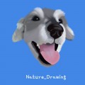 NatureDrawing 프로필 이미지