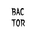 BACTOR 프로필 이미지