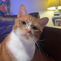 오*****_썸네일