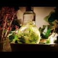 KuQ*****_썸네일