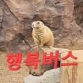 행복버스 프로필 이미지