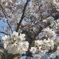 섬*****_썸네일