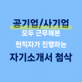 자첨 프로필 이미지