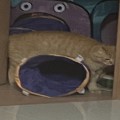 초*****_썸네일