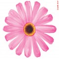 K79*****_썸네일
