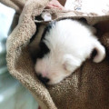 그*****_썸네일