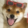 꾸*****_썸네일