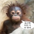 태*****_썸네일