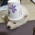 y키*****_썸네일