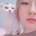 3D*****_썸네일