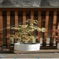 주*****_썸네일