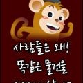 호*****_썸네일