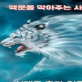 로*****_썸네일