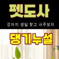 펫도사ㅡ댕댕이사주 프로필 이미지