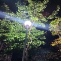 하*****_썸네일