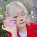 미미워크 프로필