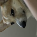 해*****_썸네일