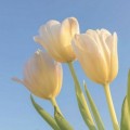9Sd*****_썸네일