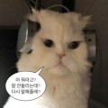 Pro*****_썸네일