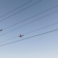 gra*****_썸네일