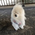 유*****_썸네일