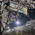 멍*****_썸네일