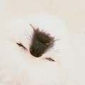 윤*****_썸네일