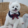 gre*****_썸네일