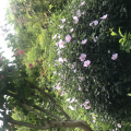 due*****_썸네일