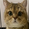 에*****_썸네일