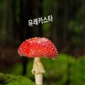 유*****_썸네일