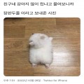 분*****_썸네일