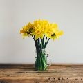 Sta*****_썸네일