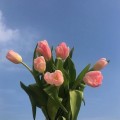 로*****_썸네일