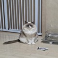 오*****_썸네일