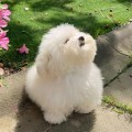 허*****_썸네일