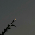 아*****_썸네일