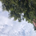 K82*****_썸네일
