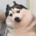 바_썸네일
