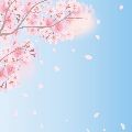 당*****_썸네일