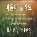 휴숲꿀토닥쌤 프로필 이미지