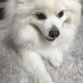 띠*****_썸네일